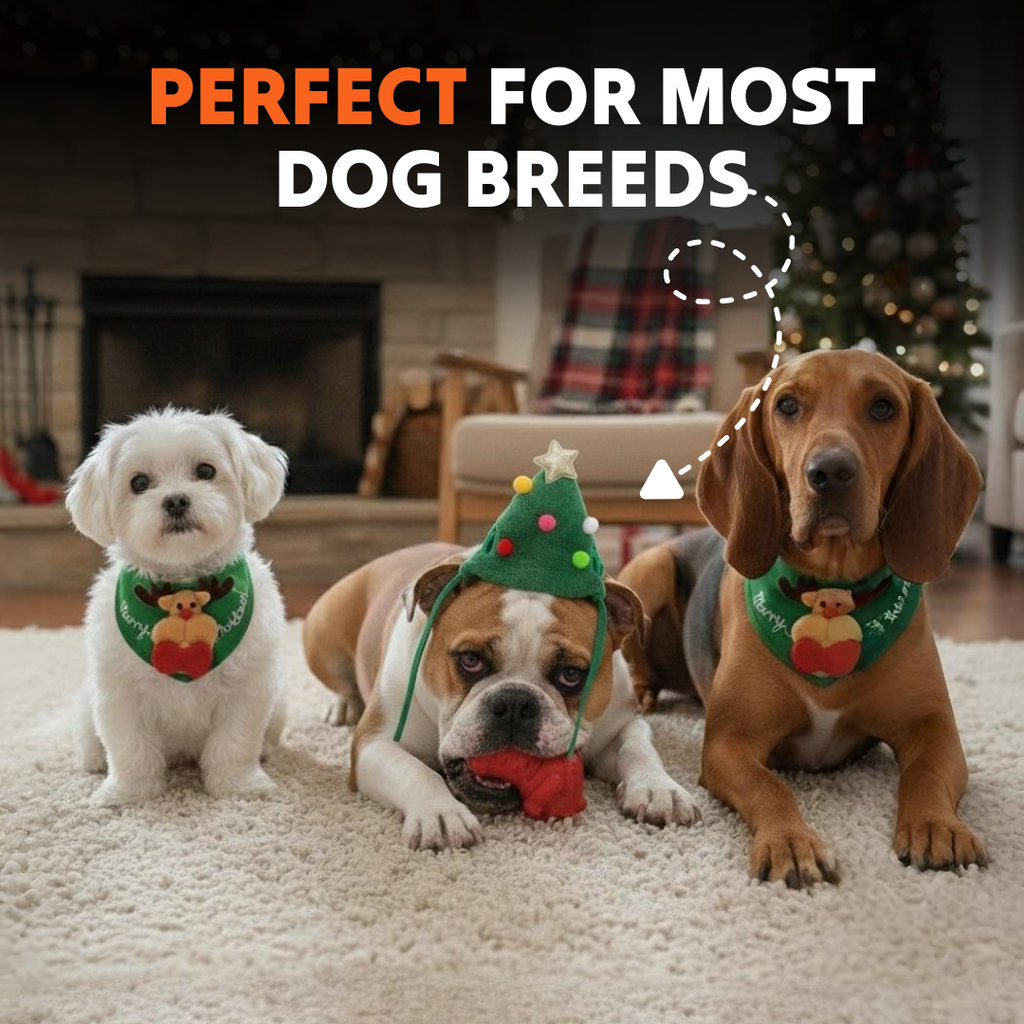 Adorable Christmas Tree Pom-Pom Hat