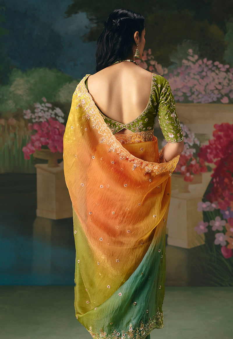Multicolor Embroidered Fancy Fabric Saree with Sequin Detailing