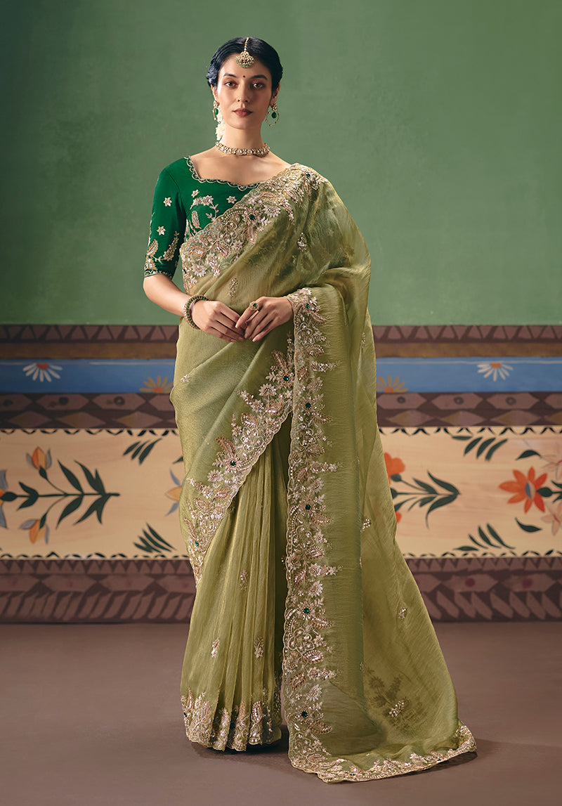 Pista green embroidered fancy fabric saree with elegant aesthetic.