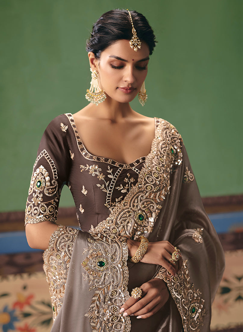 Taupe Fancy Fabric Saree with Sophisticated Embroidery