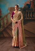 Multicolor fancy fabric saree with intricate embroidery work and elegant drape
