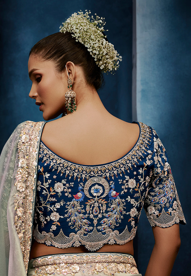 Light Grey Embroidered Fancy Saree with Stitched Blouse