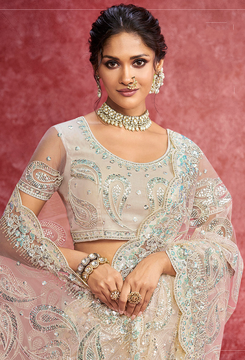 Off White Net Saree with Scalloped Lace and Embroidery