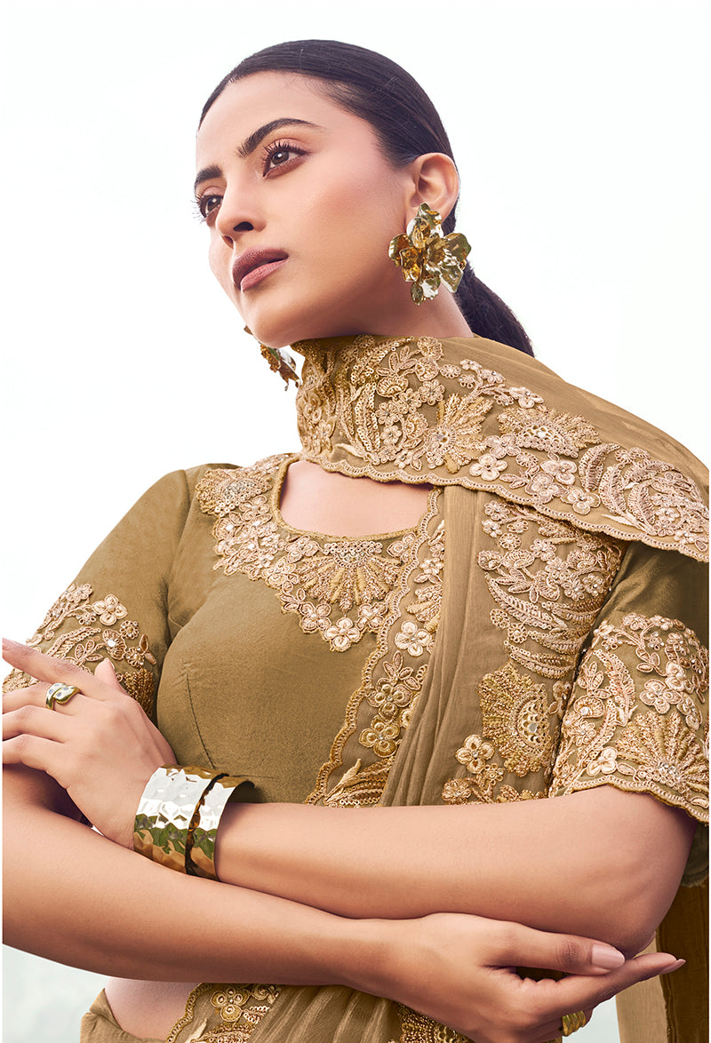 Chiku Embroidered Banarasi Silk Blend Saree