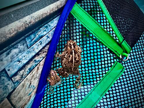 Critter Clear | Animal Escape Ramp and Skimmer Guard