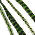 Vibrant striped green feather hair extensions for professional styling