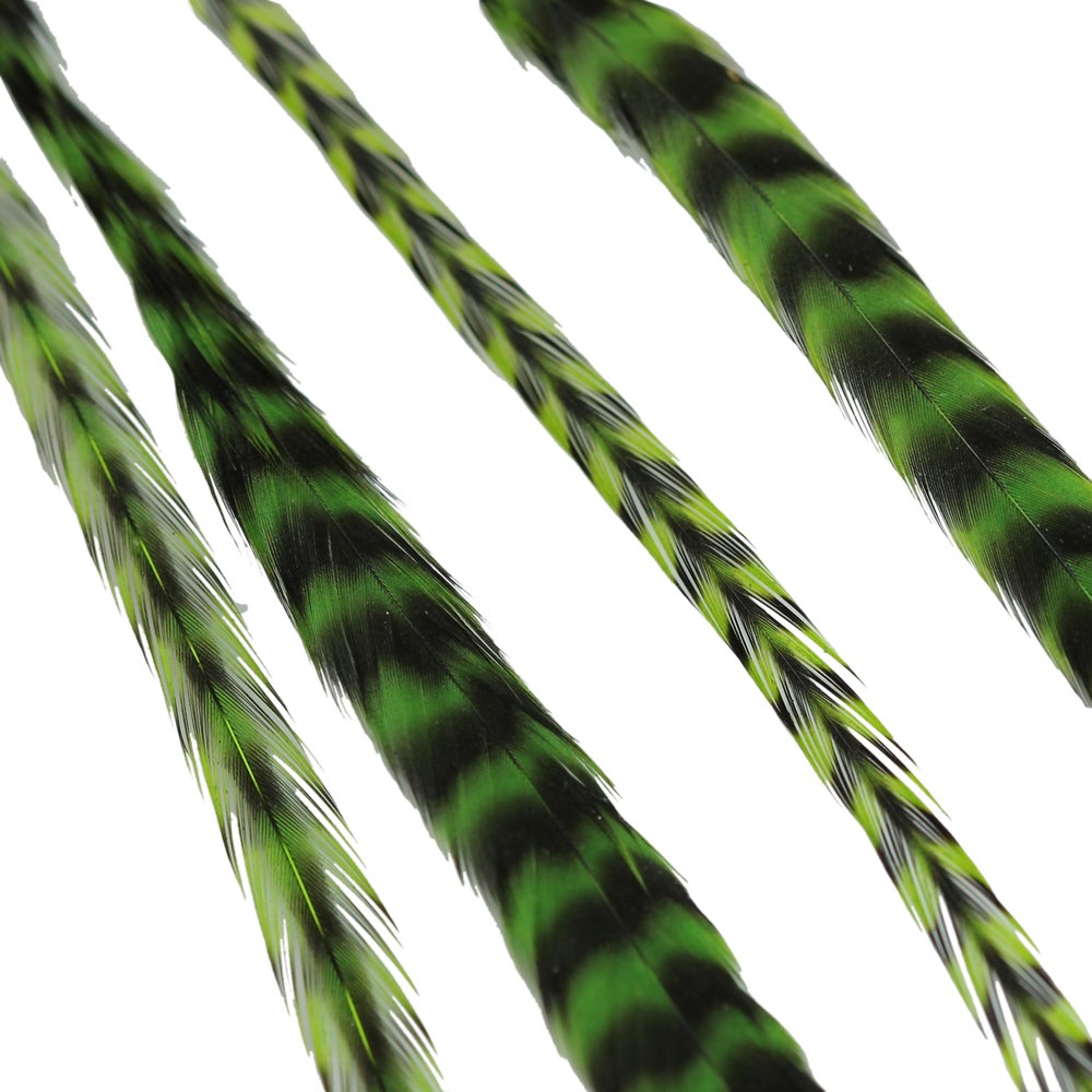 Vibrant striped green feather hair extensions for professional styling