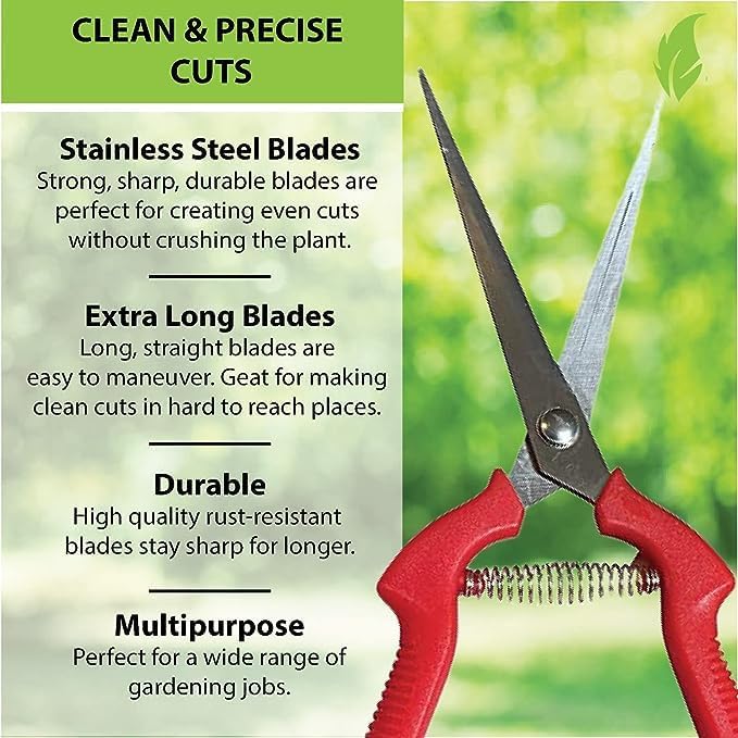 Garden Guru Straight Stainless Steel Pruner Pruning Shears Clippers Snips Sharp