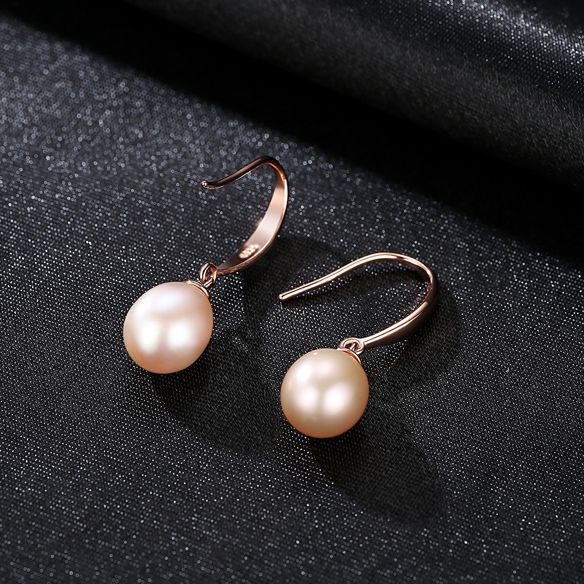 Elegant Ear Hook Earrings For Women