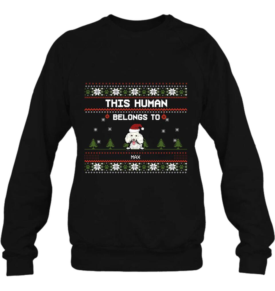 Personalized Dog Mom T-shirt/Long Sleeve/Sweatshirt/Hoodie - Up to 5 Dogs - Christmas Gift For Dog Lover - This Human Belongs To