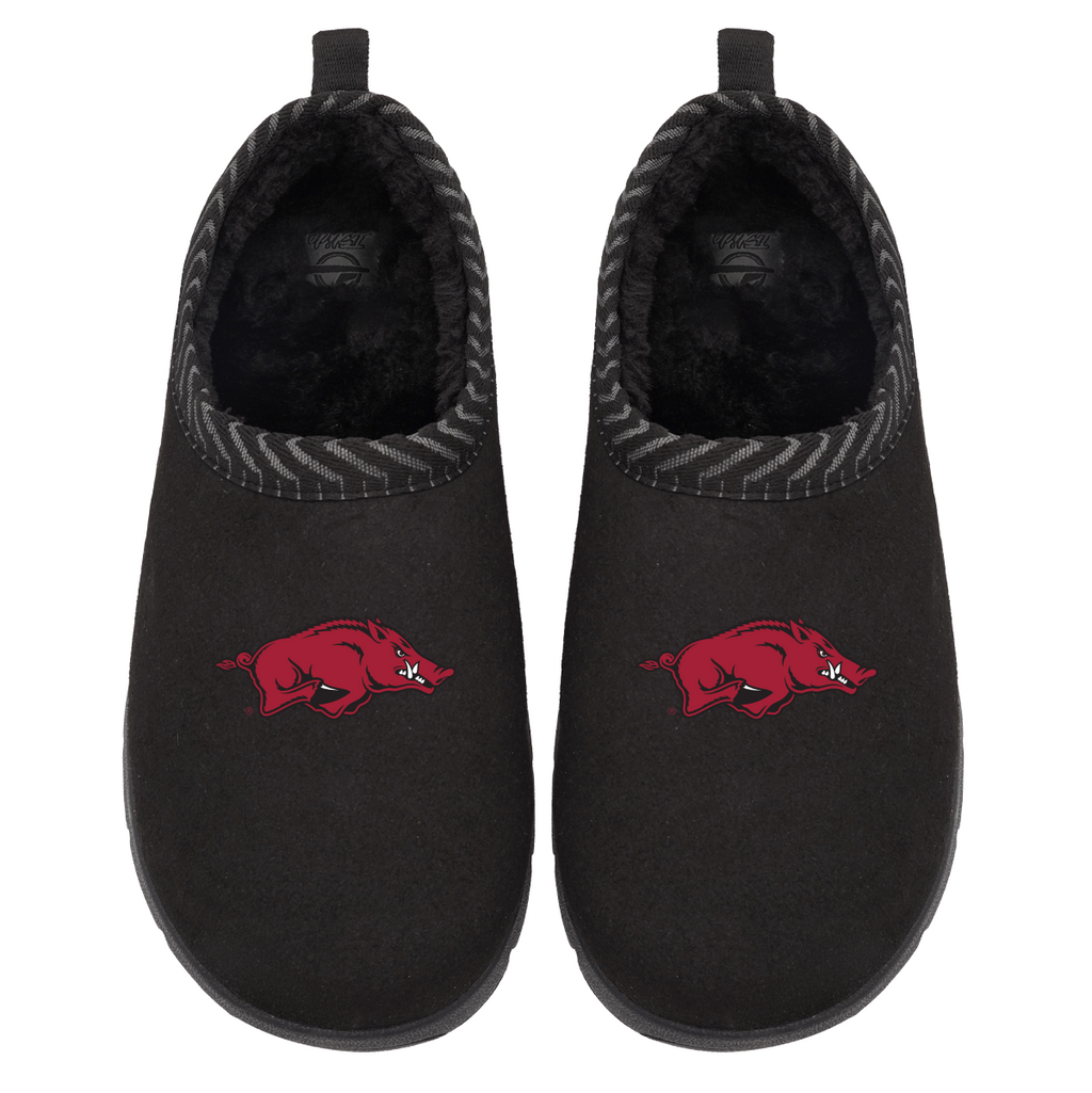 Arkansas Razorbacks Primary Logo Mission