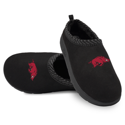 Arkansas Razorbacks Primary Logo Mission