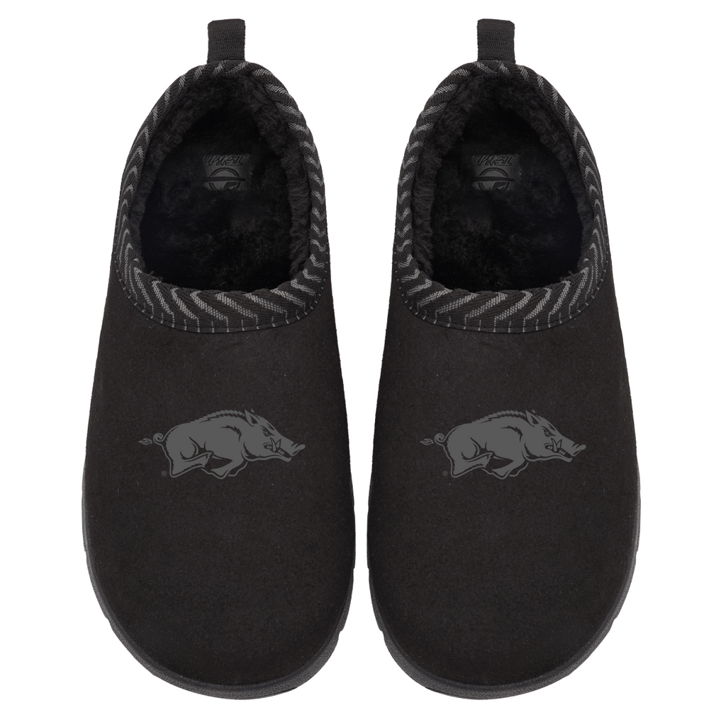 Arkansas Razorbacks Tonal Logo Mission