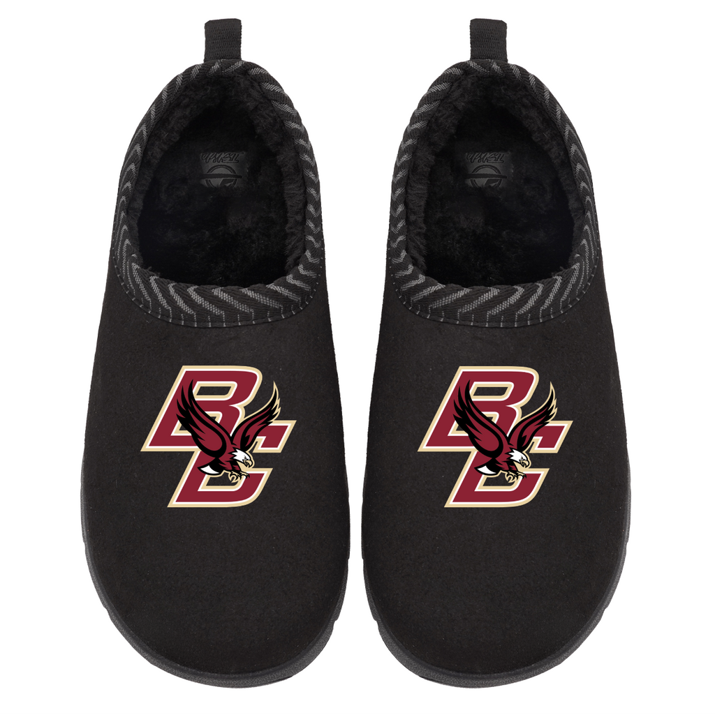 Boston College Eagles Primary Logo Mission