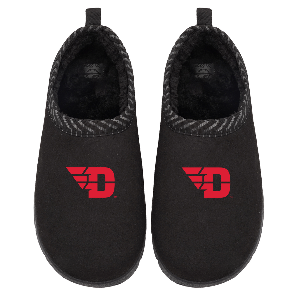 Dayton Flyers Primary Logo Mission