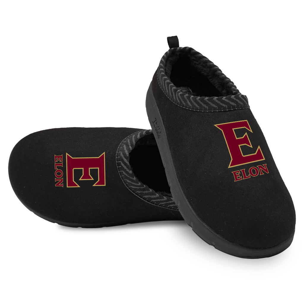 Elon Phoenix Primary Logo Mission