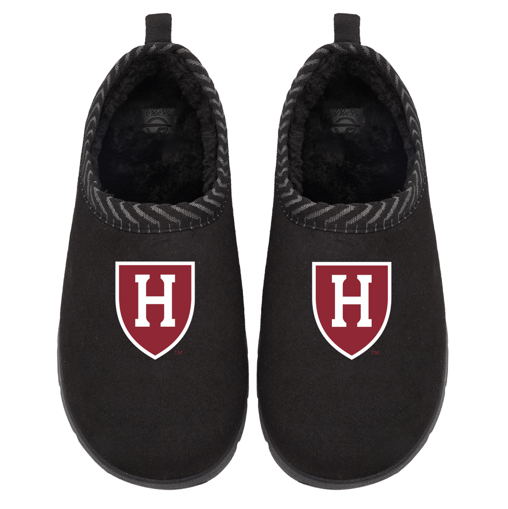 Harvard Crimson Primary Logo Mission