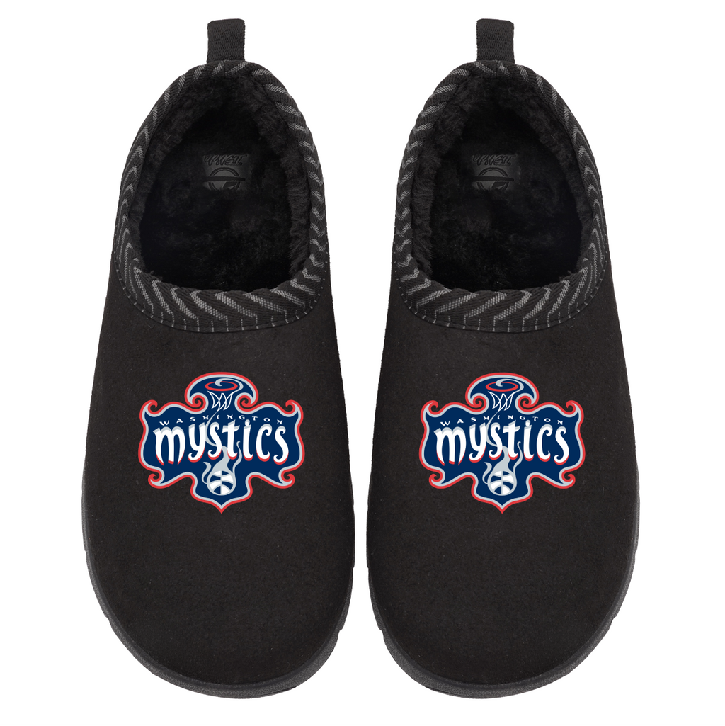 Washington Mystics Primary Logo Mission