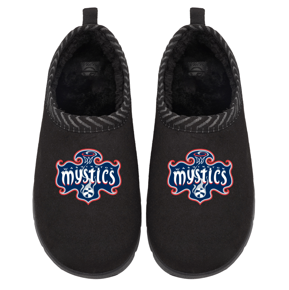 Washington Mystics Primary Logo Mission