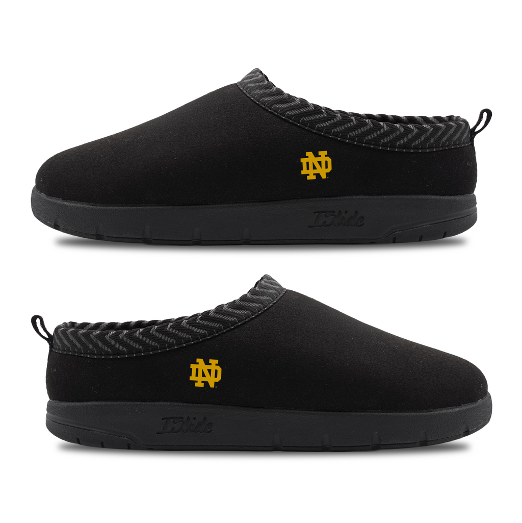 Notre Dame Fighting Irish Minimalistic Mission