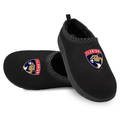 Florida Panthers Primary Logo Mission