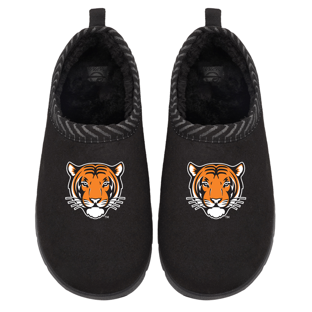 Princeton Tigers Primary Logo Mission