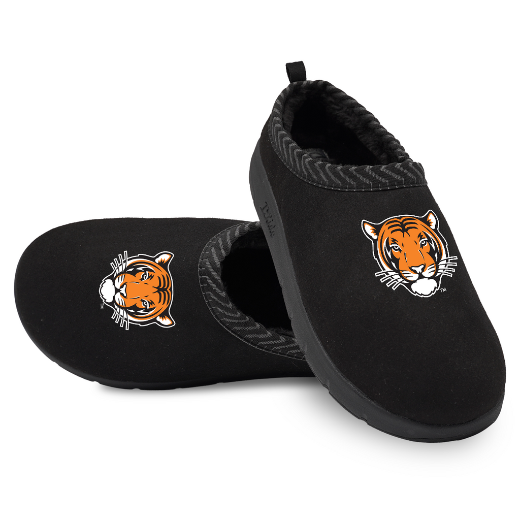Princeton Tigers Primary Logo Mission