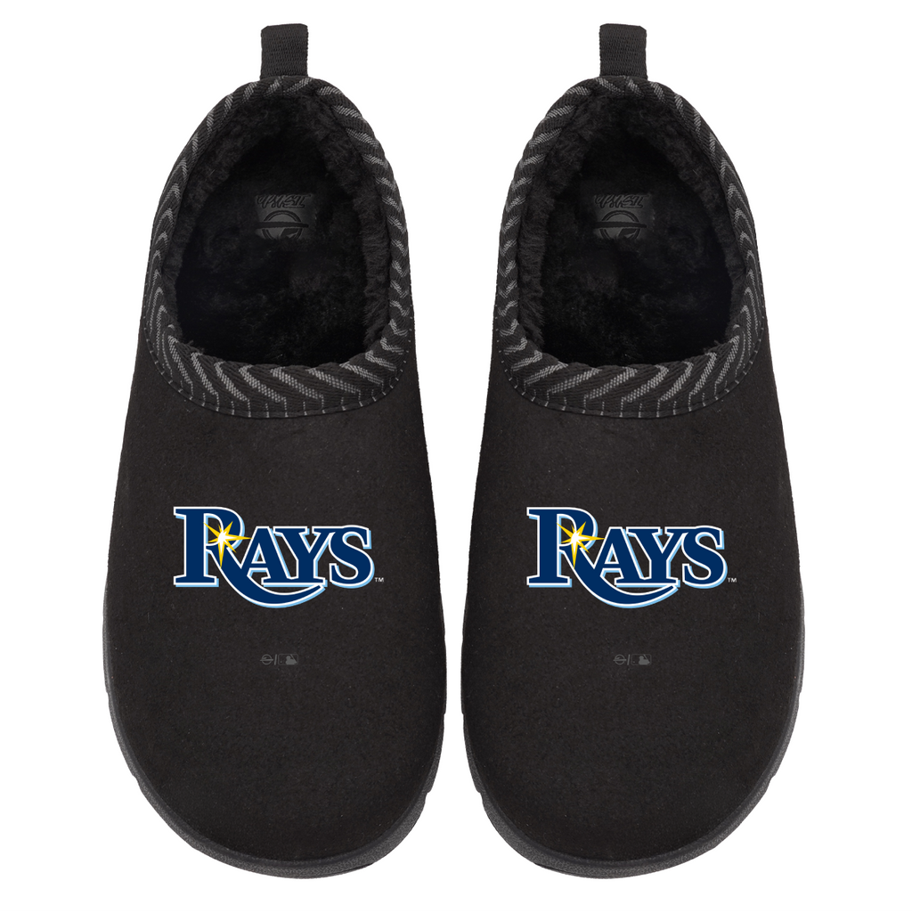 Tampa Bay Rays Primary Logo Mission