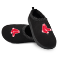 Boston Red Sox Primary Logo Mission