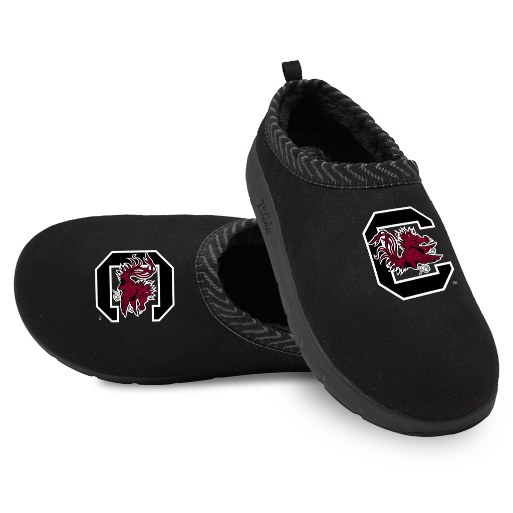 South Carolina Gamecocks Primary Logo Mission