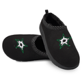 Dallas Stars Primary Logo Mission