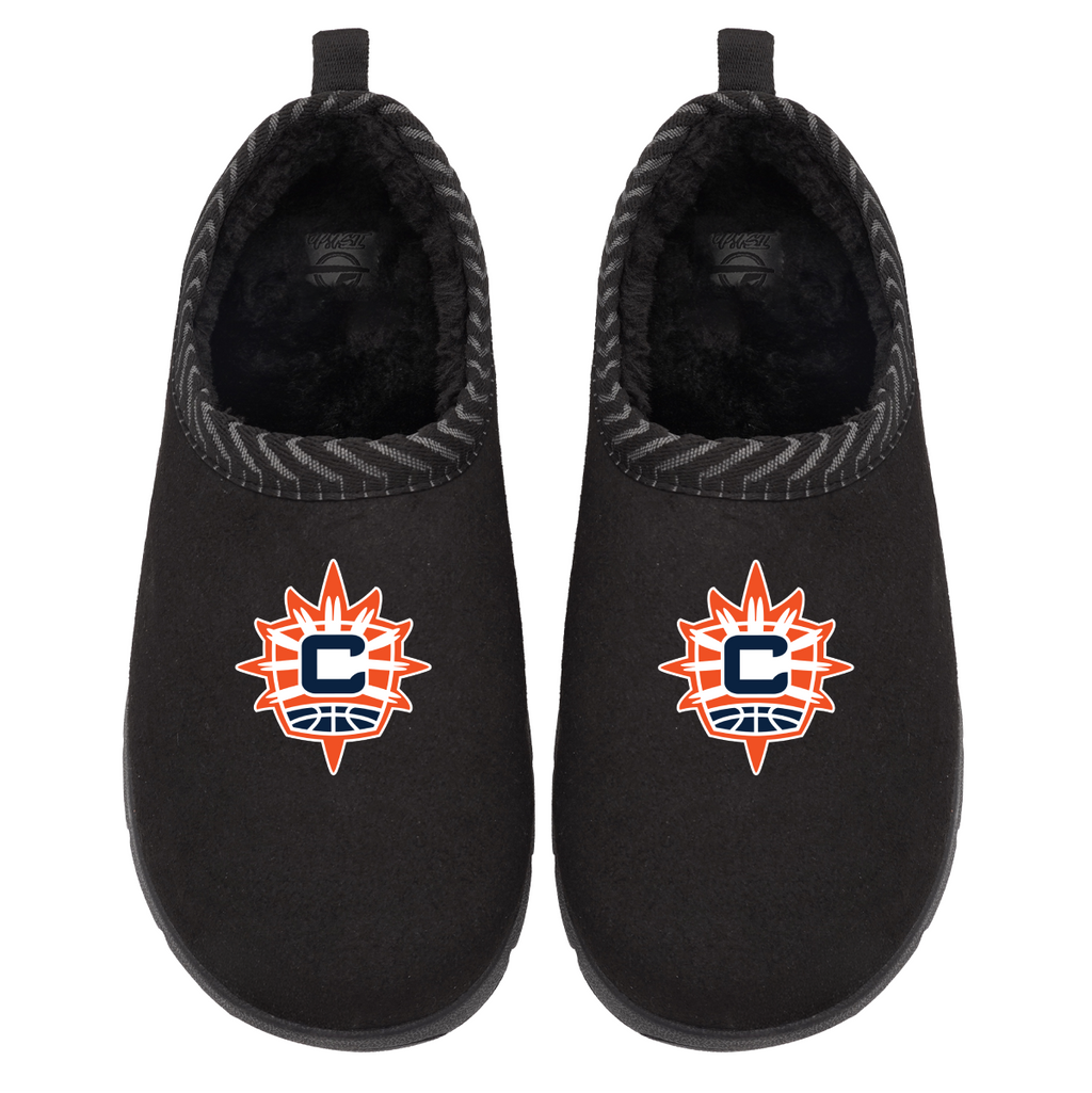 Connecticut Sun Primary Logo Mission