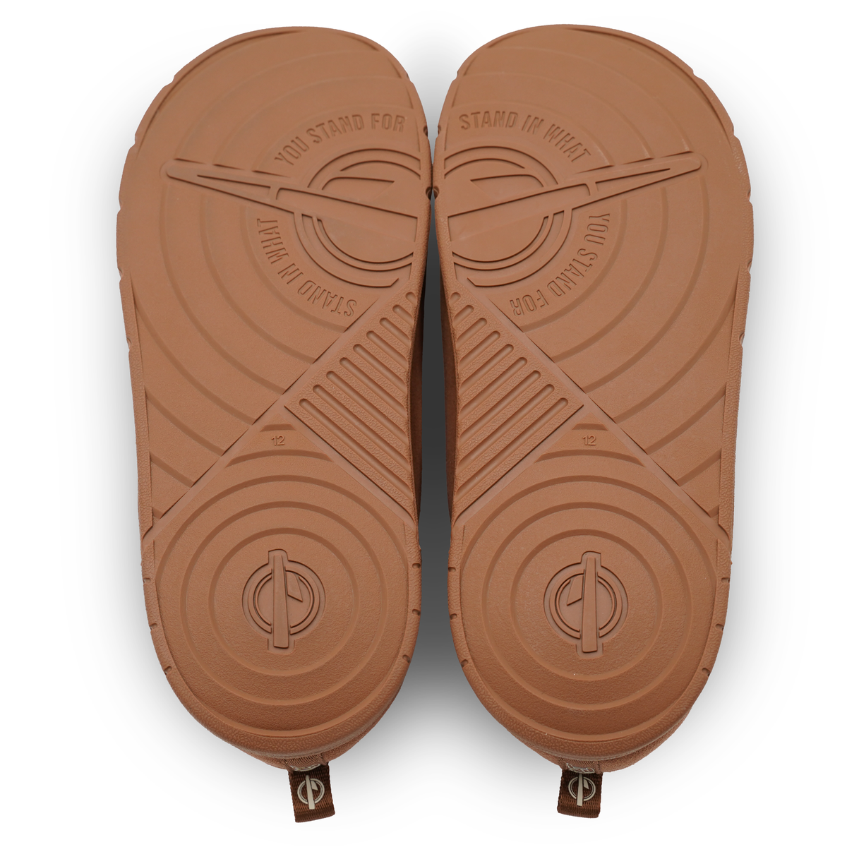 Florida Panthers Minimalistic Mission