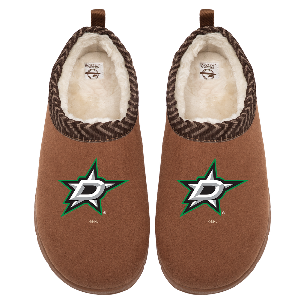Dallas Stars Primary Logo Mission