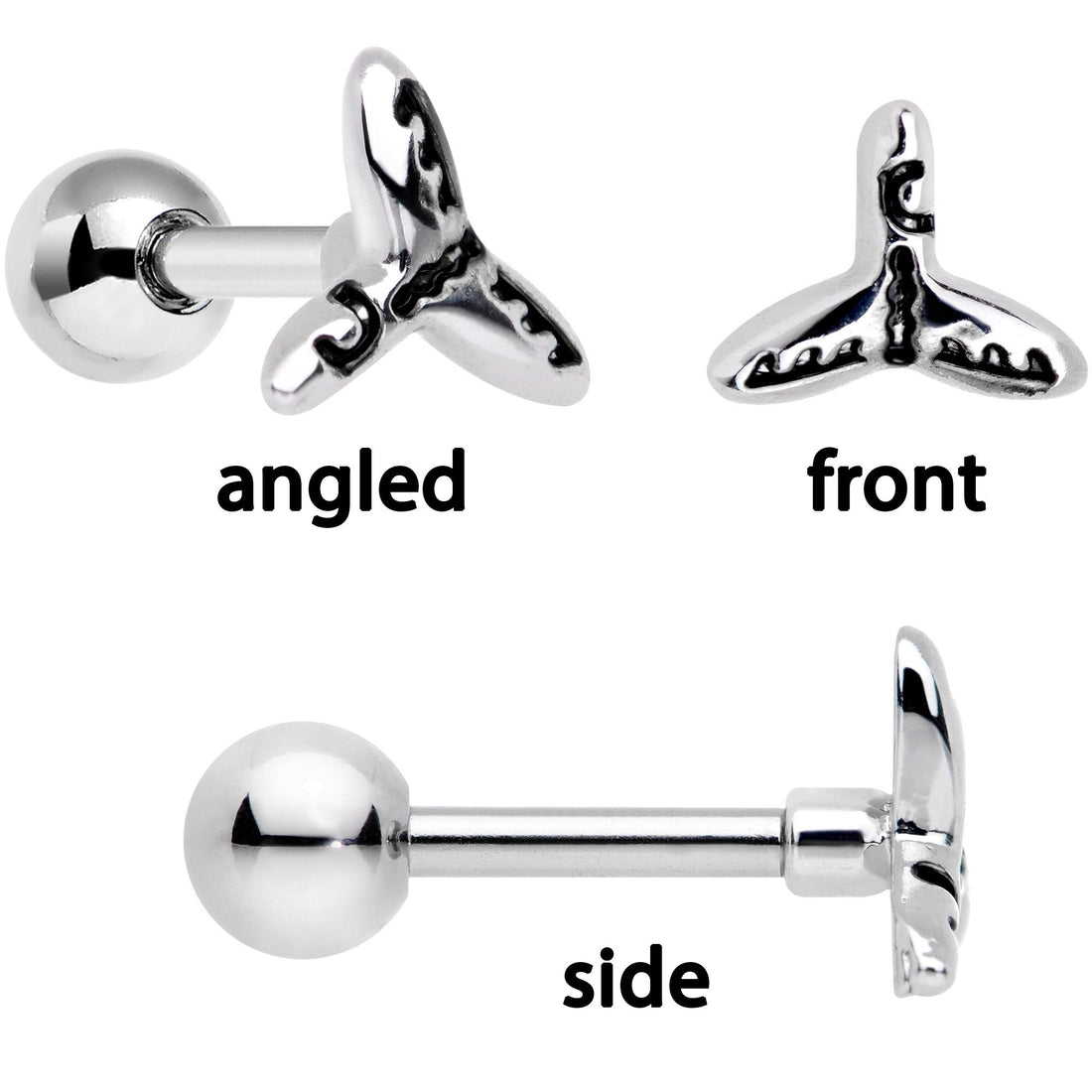16G 1/4 Ocean Starfish Life Cartilage Tragus Earring Set of 3