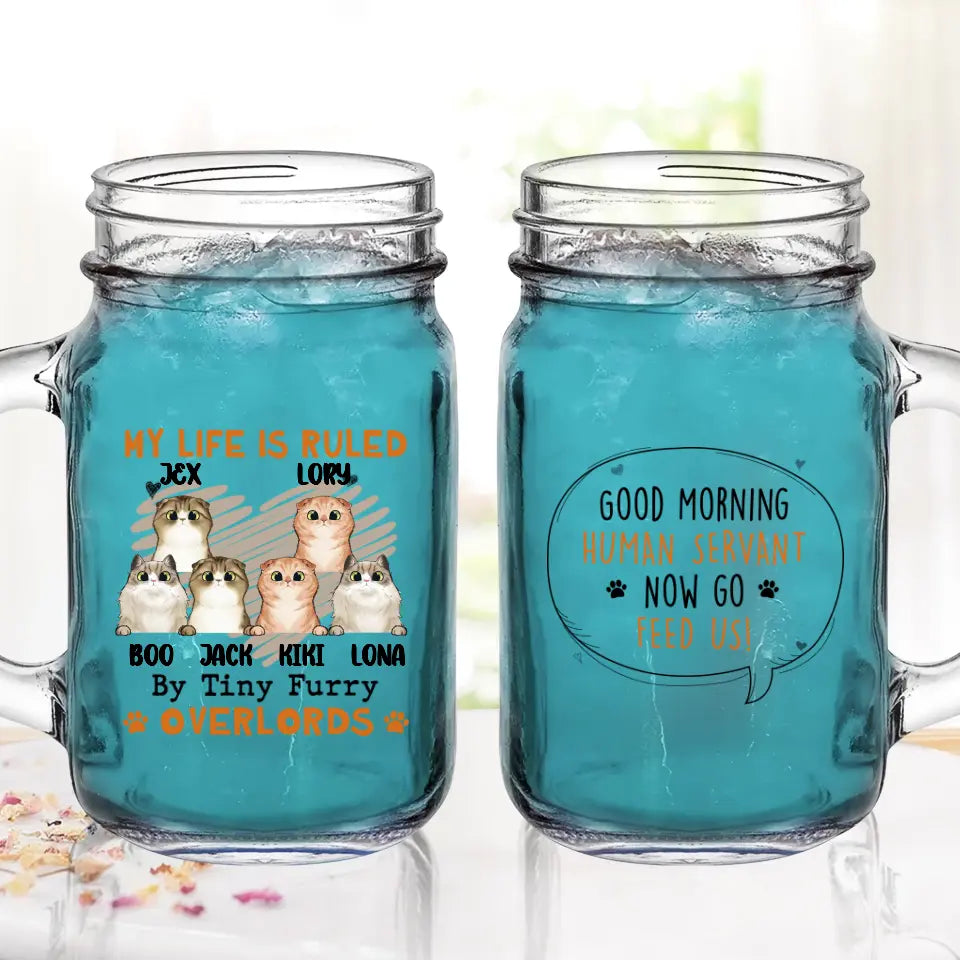 Personalized Cats Mason Jug - Up to 3 Cats - Best Gift Idea For Cat Lovers - Good Morning Human Servant Now Go Feed Us!