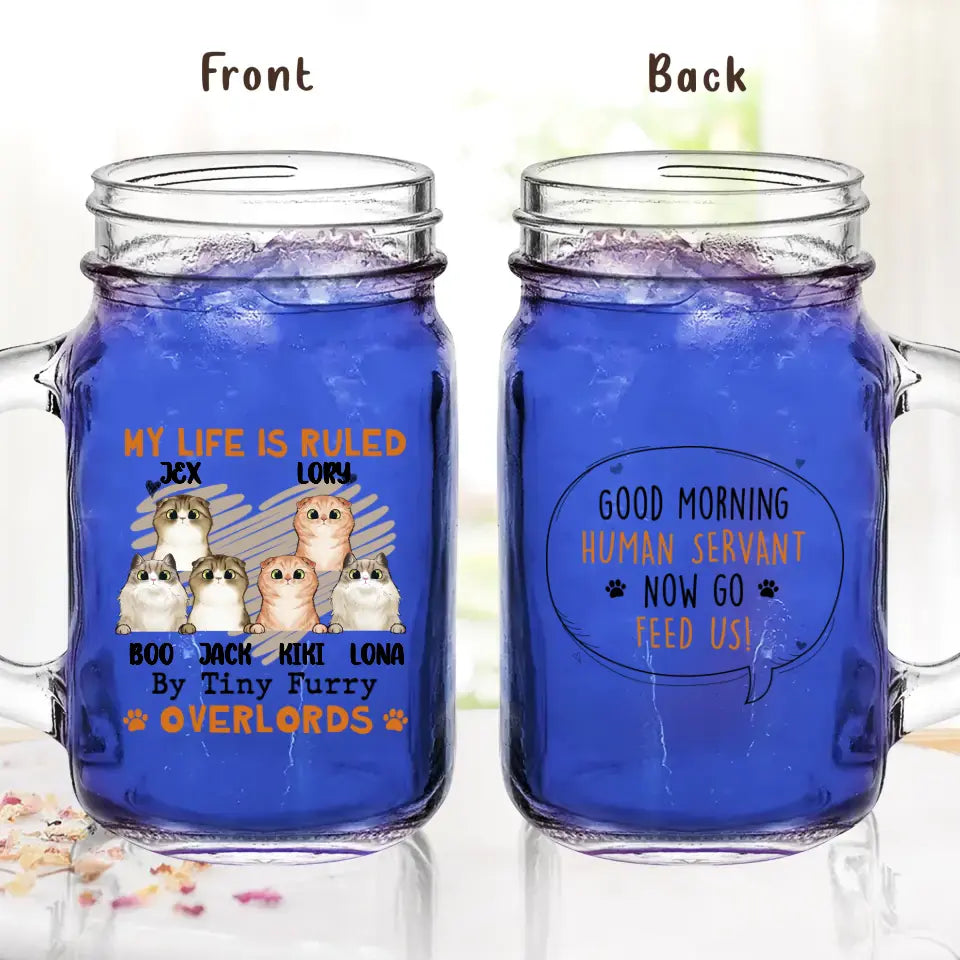 Personalized Cats Mason Jug - Up to 3 Cats - Best Gift Idea For Cat Lovers - Good Morning Human Servant Now Go Feed Us!