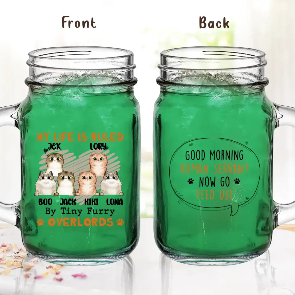 Personalized Cats Mason Jug - Up to 3 Cats - Best Gift Idea For Cat Lovers - Good Morning Human Servant Now Go Feed Us!