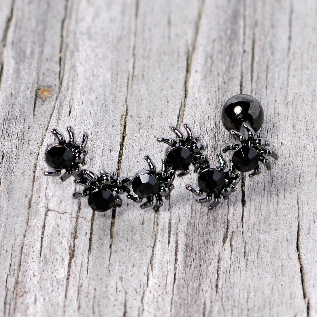 16G 1/4 Black CZ Gem Black Spider Halloween Cartilage Tragus