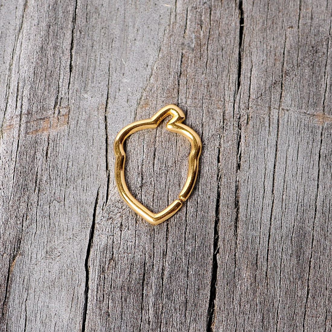 16G 3/8 Gold Tone Autumn Acorn Closure Ring