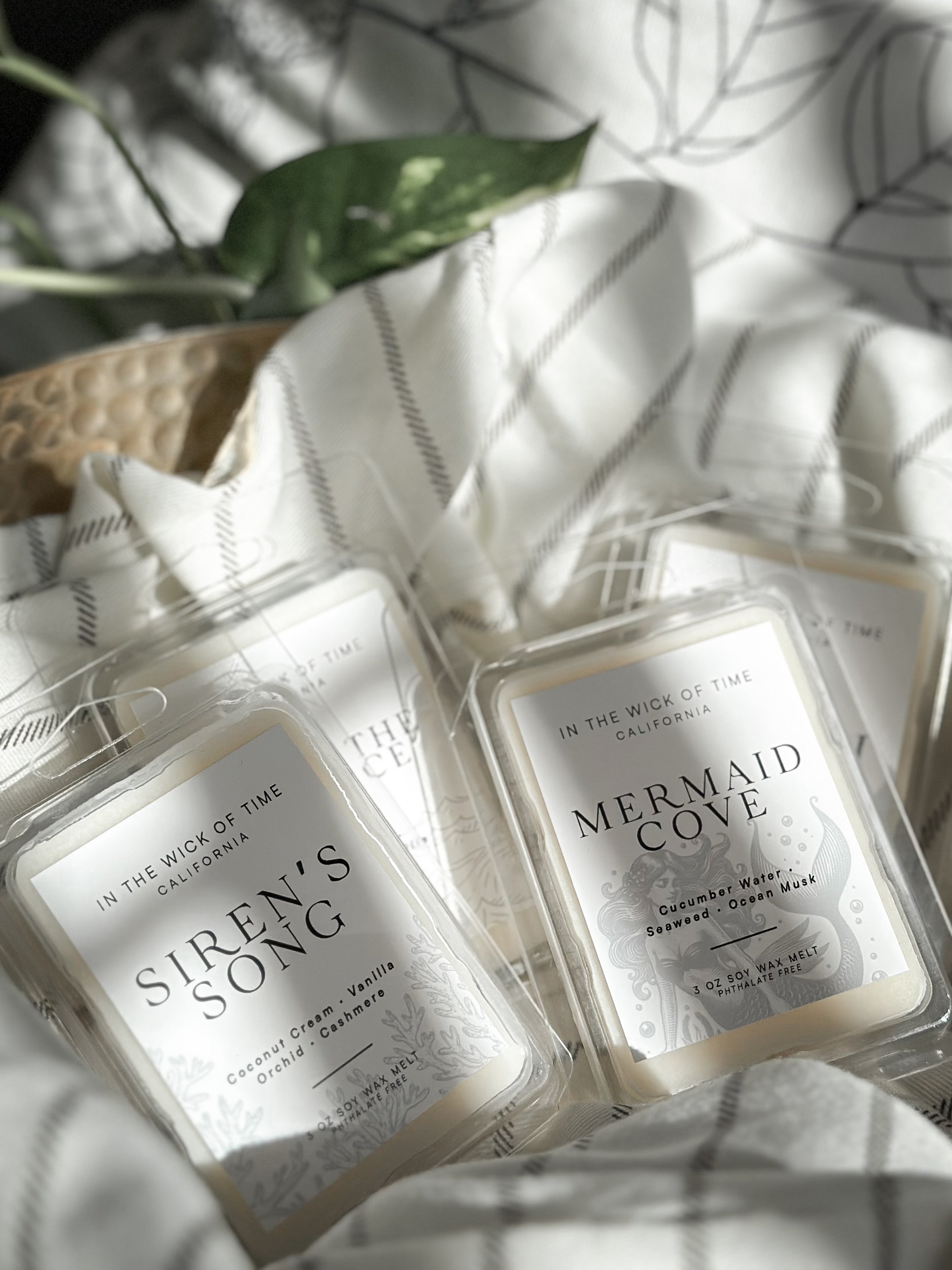 Above the Surface Wax Melt