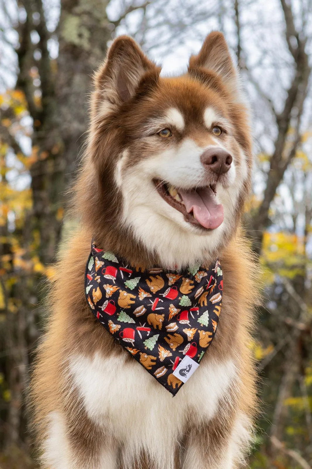 Woodland Tales Dog Bandana and Matching Keychain Set