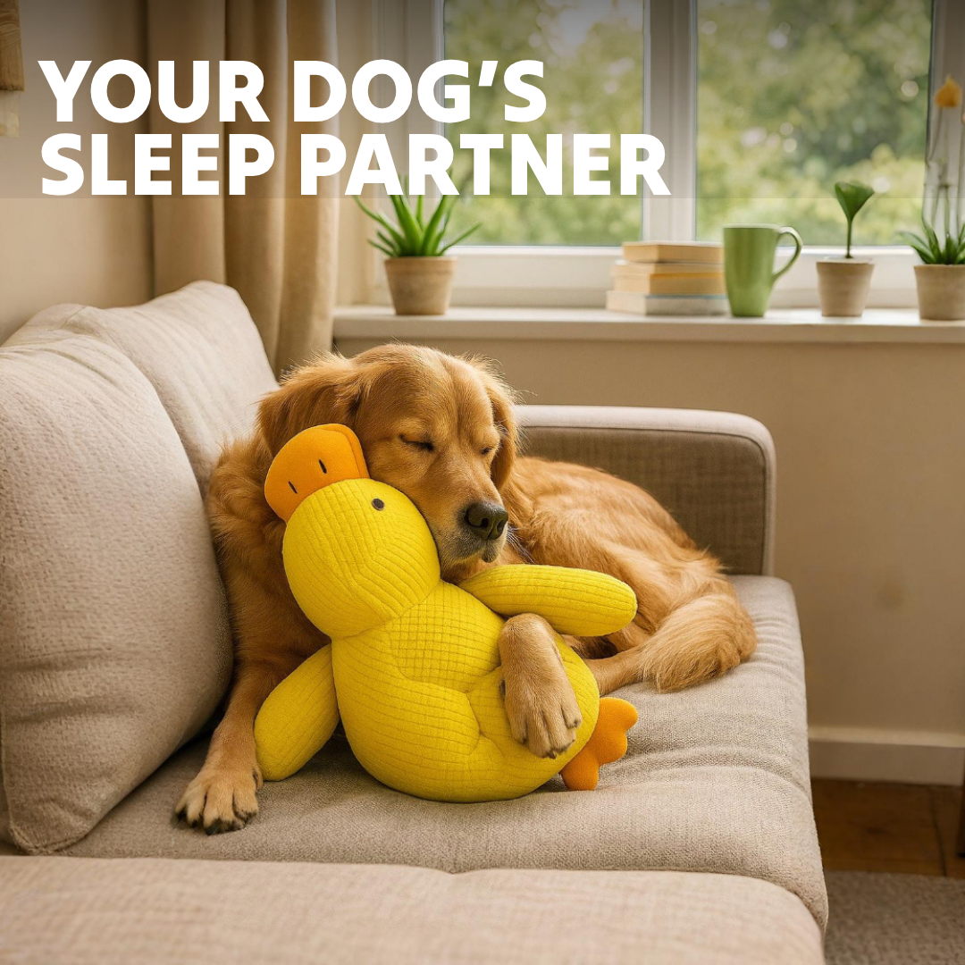 Paw Bounds™ Durable Calming Duck