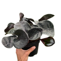 Geogenanthus 'Ciliatus' | Glossy Dark Foliage Tropical Plant | House Plant Shop