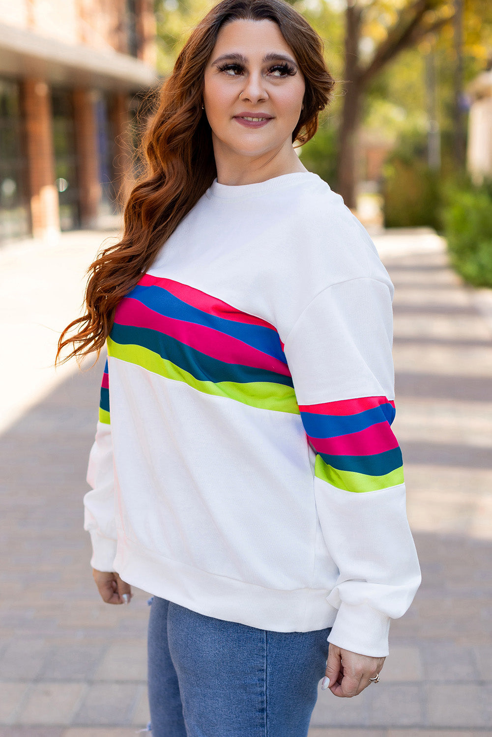 Plus Size Stripe Colorblock Drop Shoulder Sweatshirt