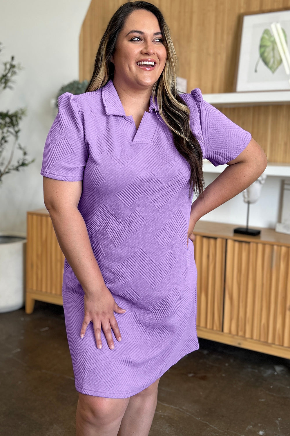 Collared Neck Short Sleeve Textured Mini Dress for Women