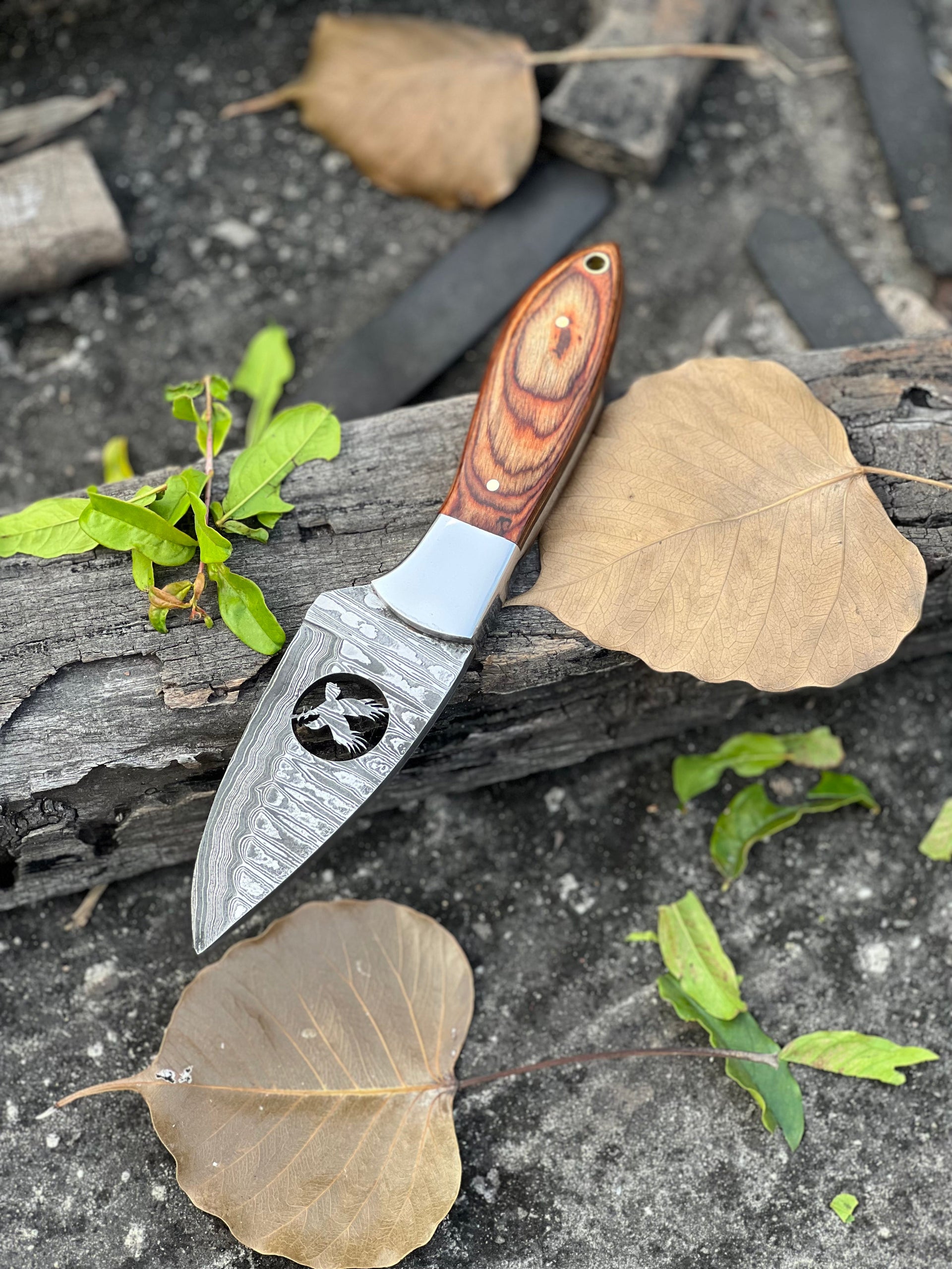 8" Forged Damascus Skinner Knife with Wire-Cut Blade, Pakkawood & Steel Bolster Handle + Leather Sheath