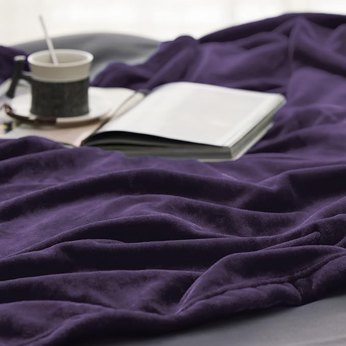 Bedsure Fleece Blanket Twin Blanket Purple - 300GSM Soft Lightweight Plush Cozy Twin XL Blankets for Bed, Sofa, Couch, Travel, Camping, 66 inch X 90 inch