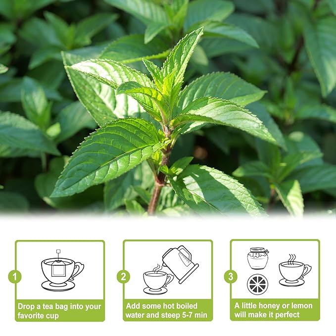 TEARELAE - Peppermint Tea Bags, 80 Count - 100% Pure Peppermint Leaves - Non-GMO - Naturally Caffeine-free Herbal Tea - Support Digestion & Natural Breath Freshener