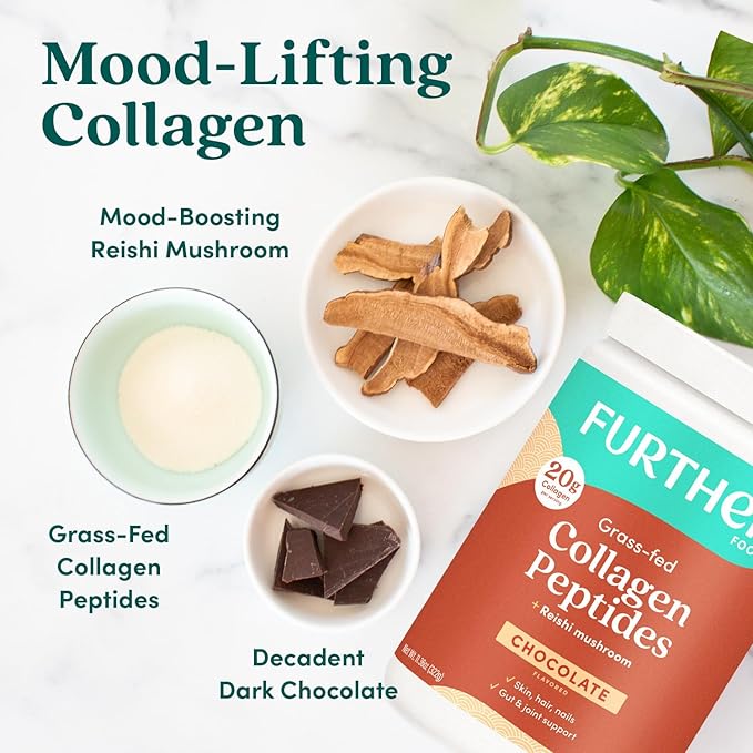 Further Food Chocolate Collagen Peptides Powder Stick Packs, Grass-Fed Pasture-Raised Hydrolyzed Type 1 & 3 Protein, Gut Health + Joint, Hair, Skin, Nails, Paleo Keto Sugar-Free 9.74 oz